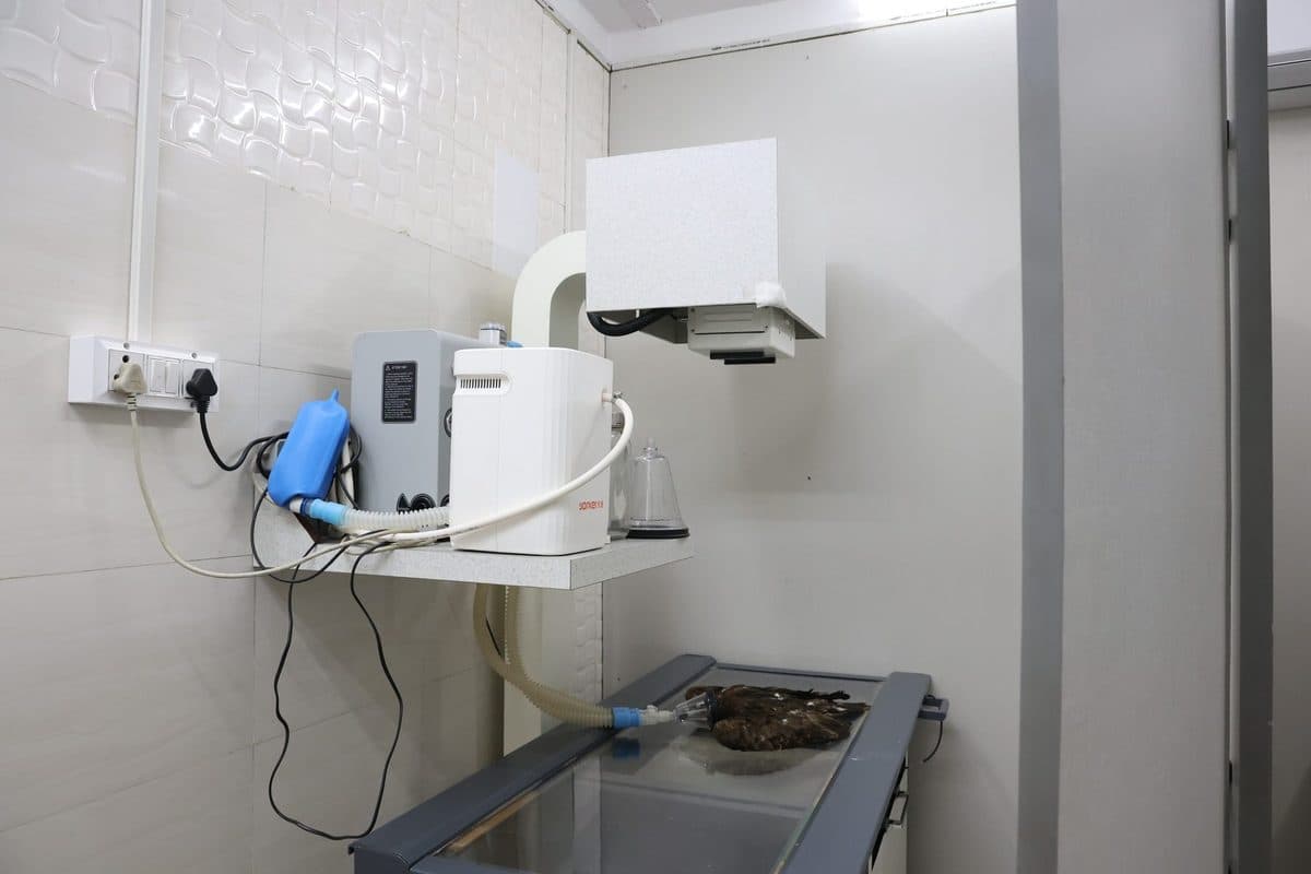 Digital X-ray with DR detector in use at the clinic