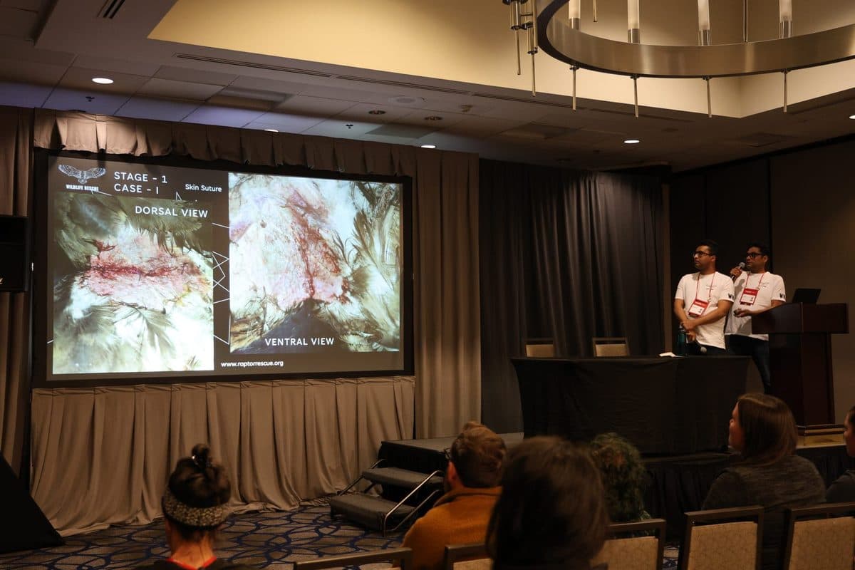 Nadeem Shehzad and Mohammad Saud presenting stage one of the repair, dorsal and ventral views on screen